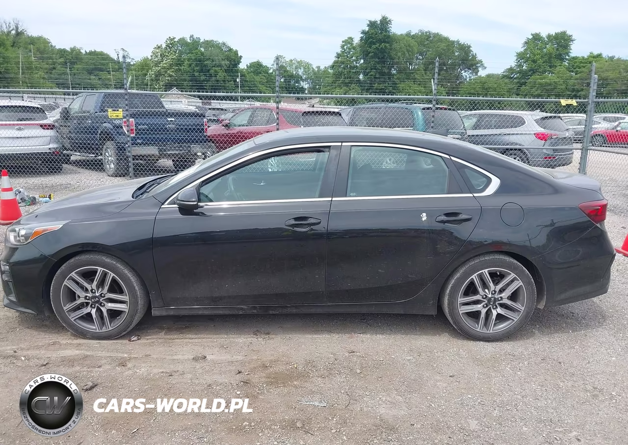 2019 Kia Forte Ex VIN:3KPF54AD8KE094269 - 14