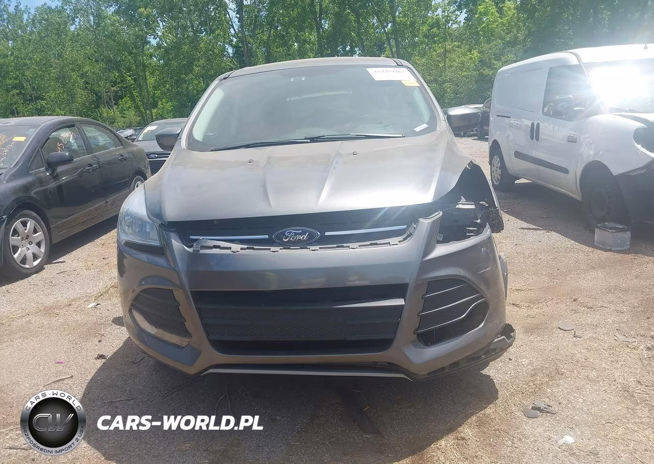 2014 Ford Escape Se VIN:1FMCU0GX9EUD85879 - 12