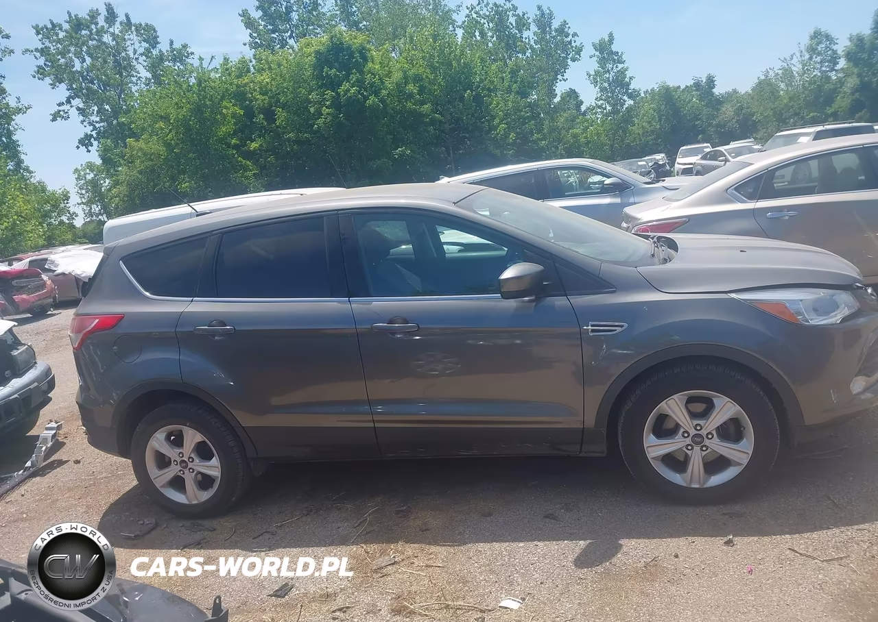 2014 Ford Escape Se VIN:1FMCU0GX9EUD85879 - 13