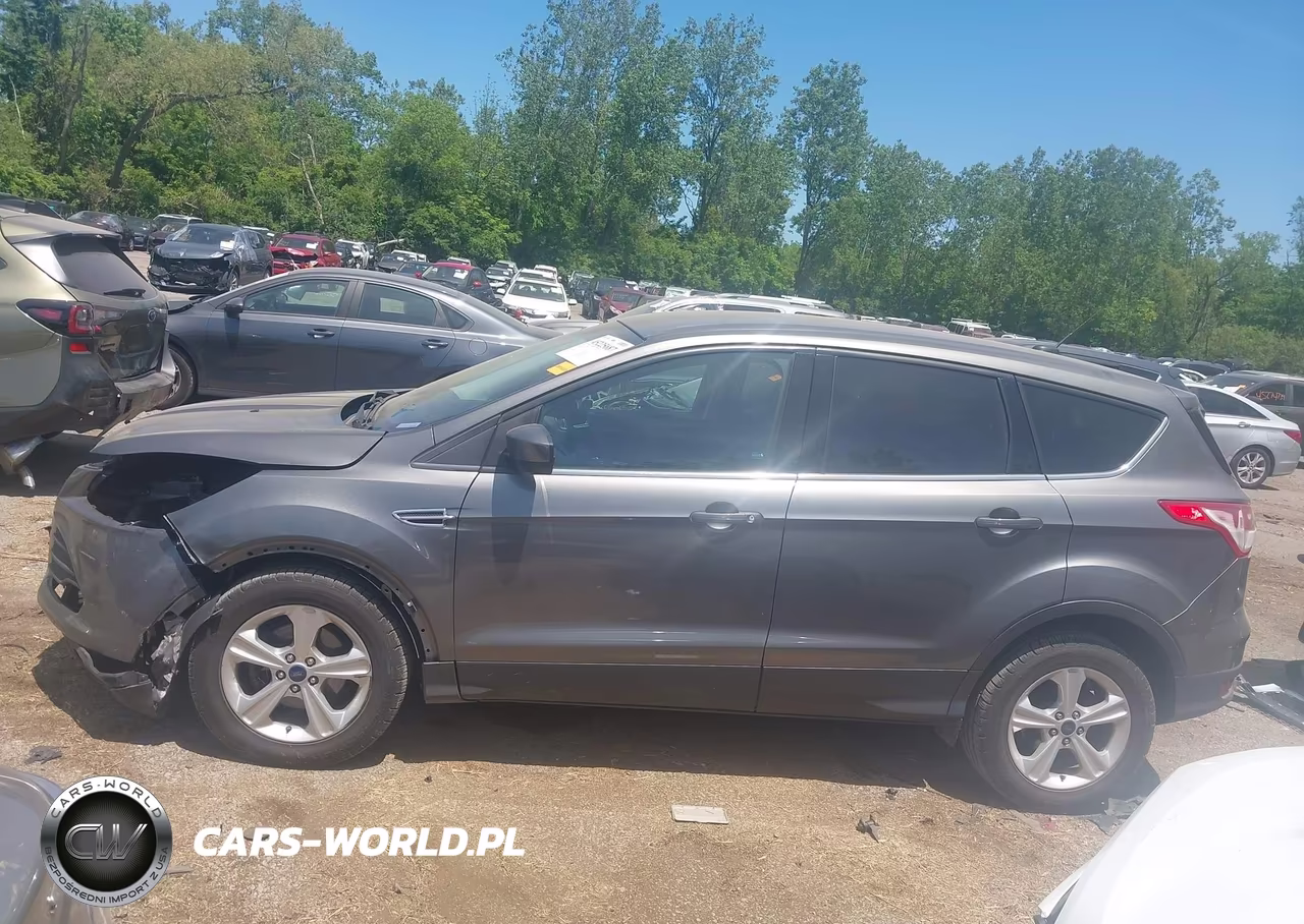 2014 Ford Escape Se VIN:1FMCU0GX9EUD85879 - 14