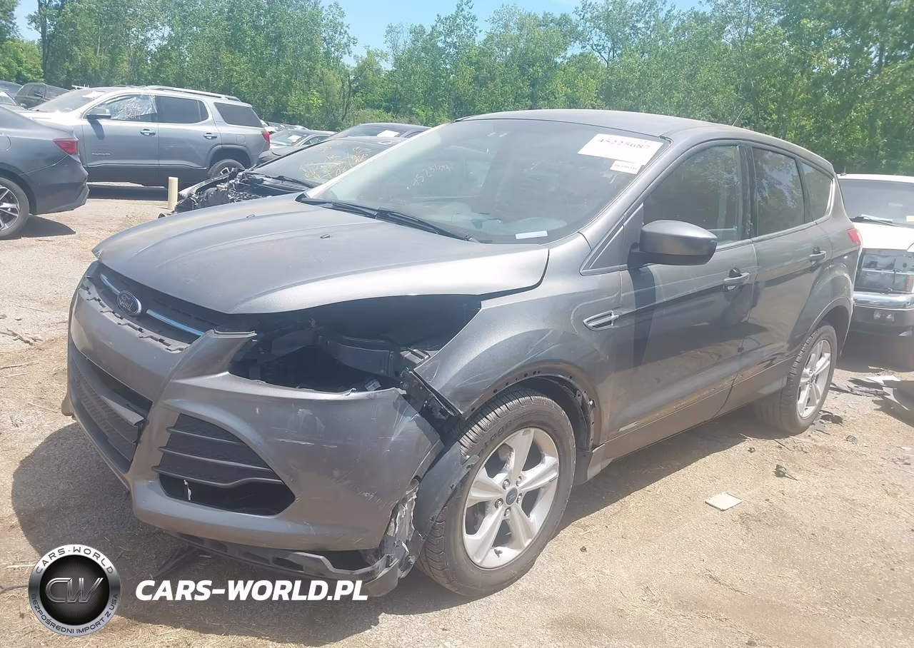 2014 Ford Escape Se VIN:1FMCU0GX9EUD85879 - 2