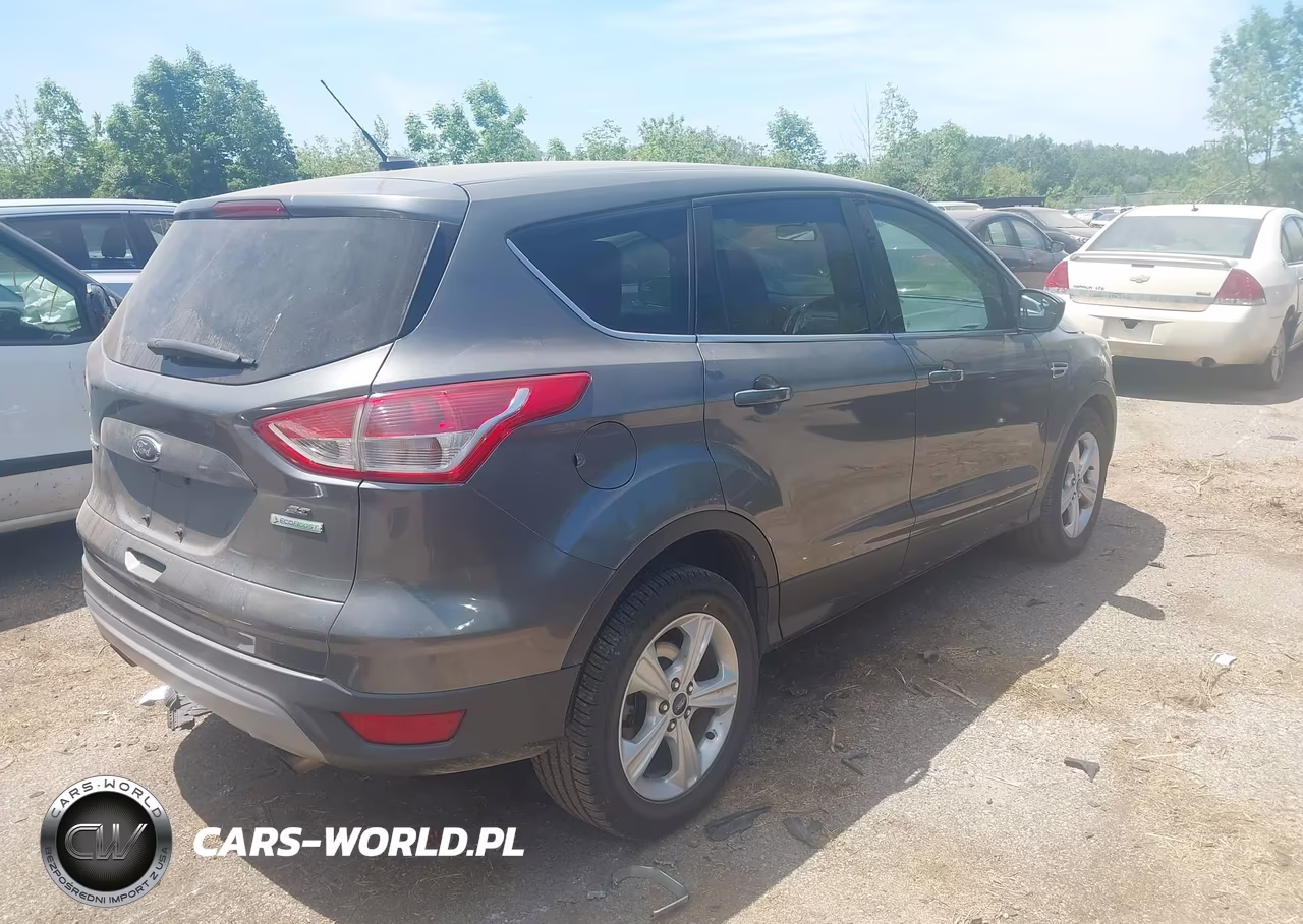 2014 Ford Escape Se VIN:1FMCU0GX9EUD85879 - 4