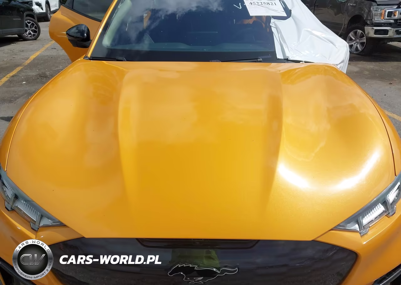 2021 Ford Mustang Mach-E Gt VIN:3FMTK4SE8MME00491 - 10