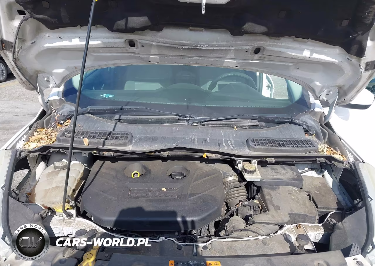 2013 Ford Escape Se VIN:1FMCU0G99DUD17999 - 10
