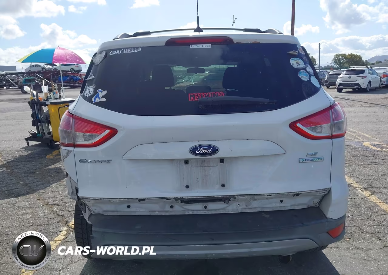 2013 Ford Escape Se VIN:1FMCU0G99DUD17999 - 12