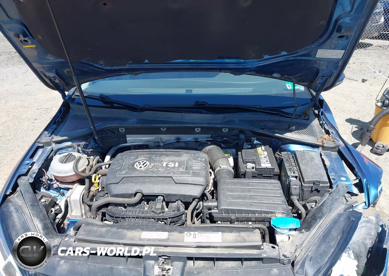 2017 Volkswagen Golf Sportwagen Tsi S-Tsi Se-Tsi Sel VIN:3VWC17AU4HM535407 - 10
