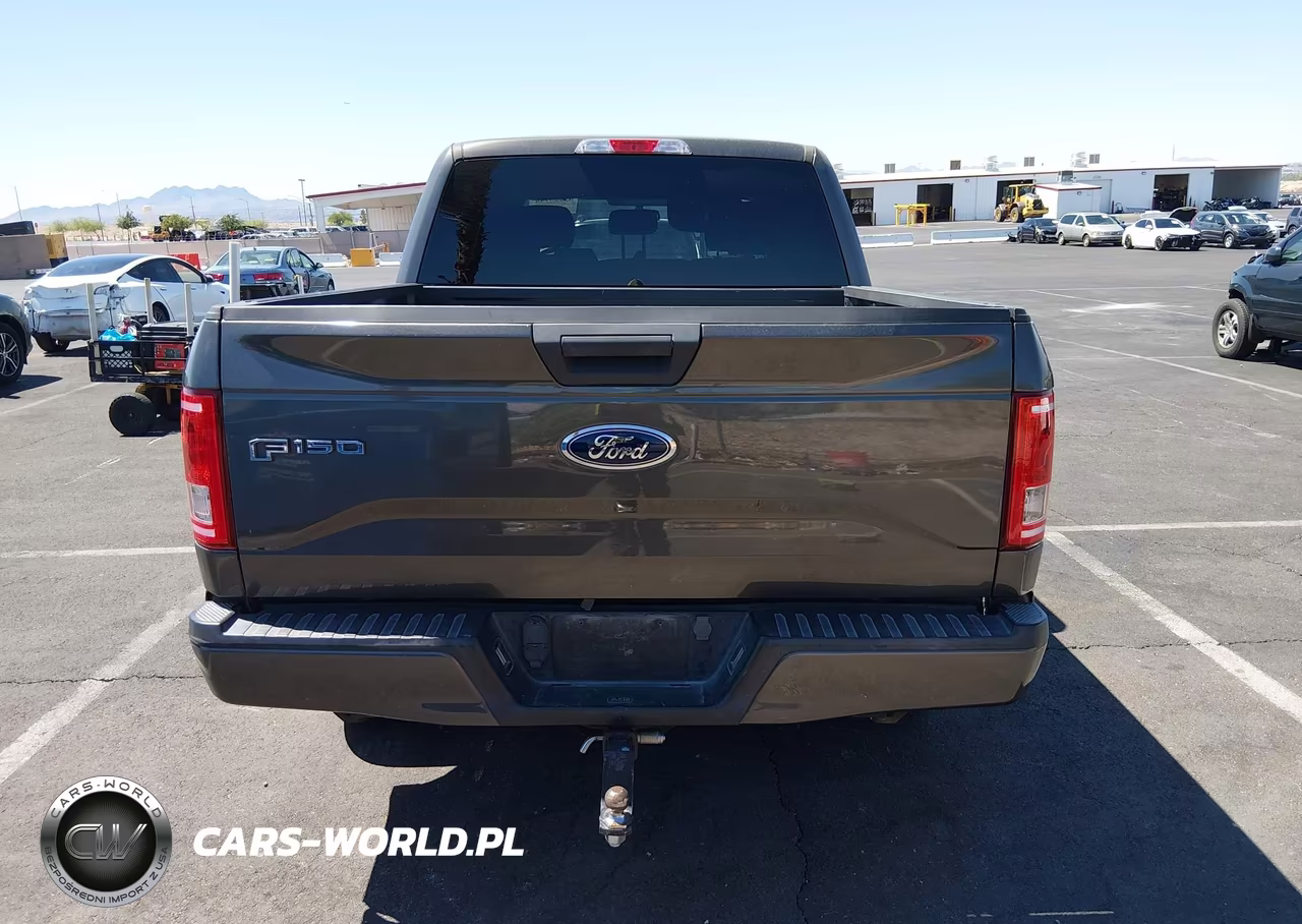 2017 Ford F-150 Xl VIN:1FTEW1CP3HKE52009 - 15