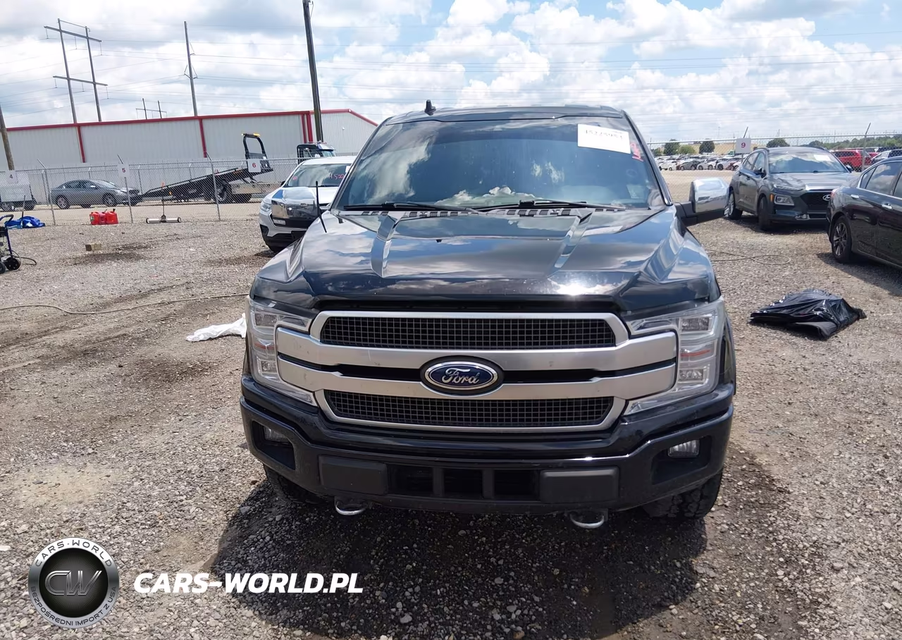 2020 Ford F-150 Platinum VIN:1FTEW1E49LFA97593 - 12