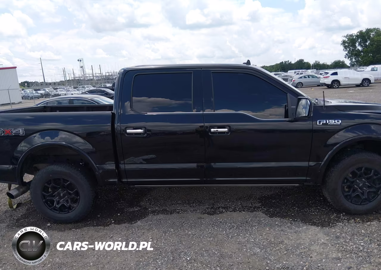 2020 Ford F-150 Platinum VIN:1FTEW1E49LFA97593 - 13
