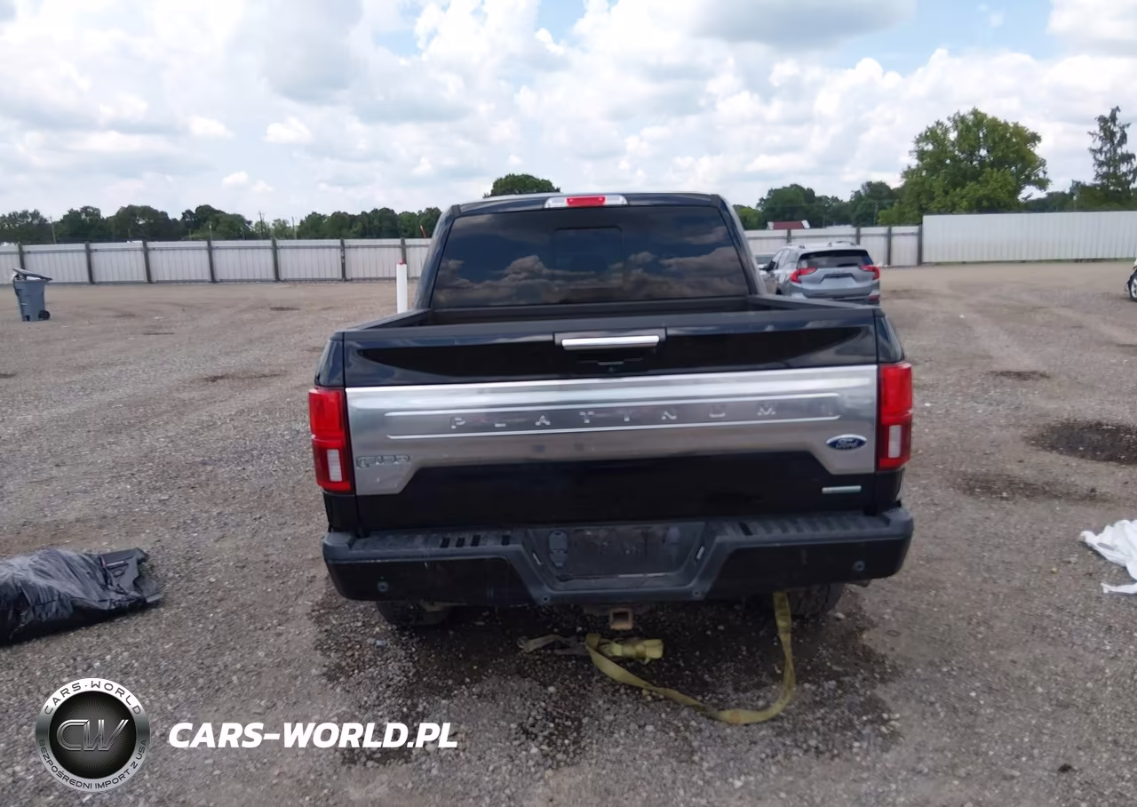 2020 Ford F-150 Platinum VIN:1FTEW1E49LFA97593 - 16