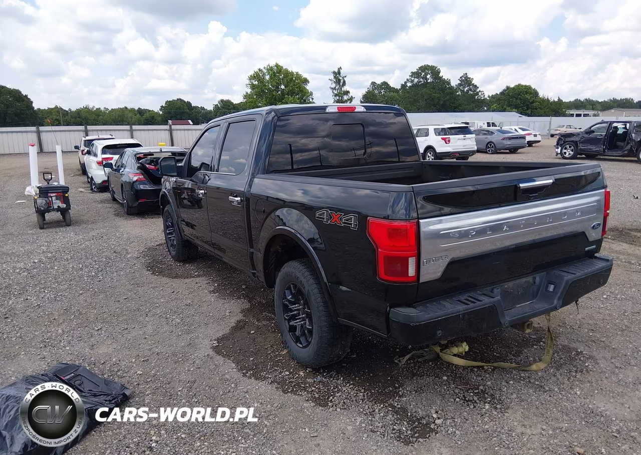 2020 Ford F-150 Platinum VIN:1FTEW1E49LFA97593 - 3