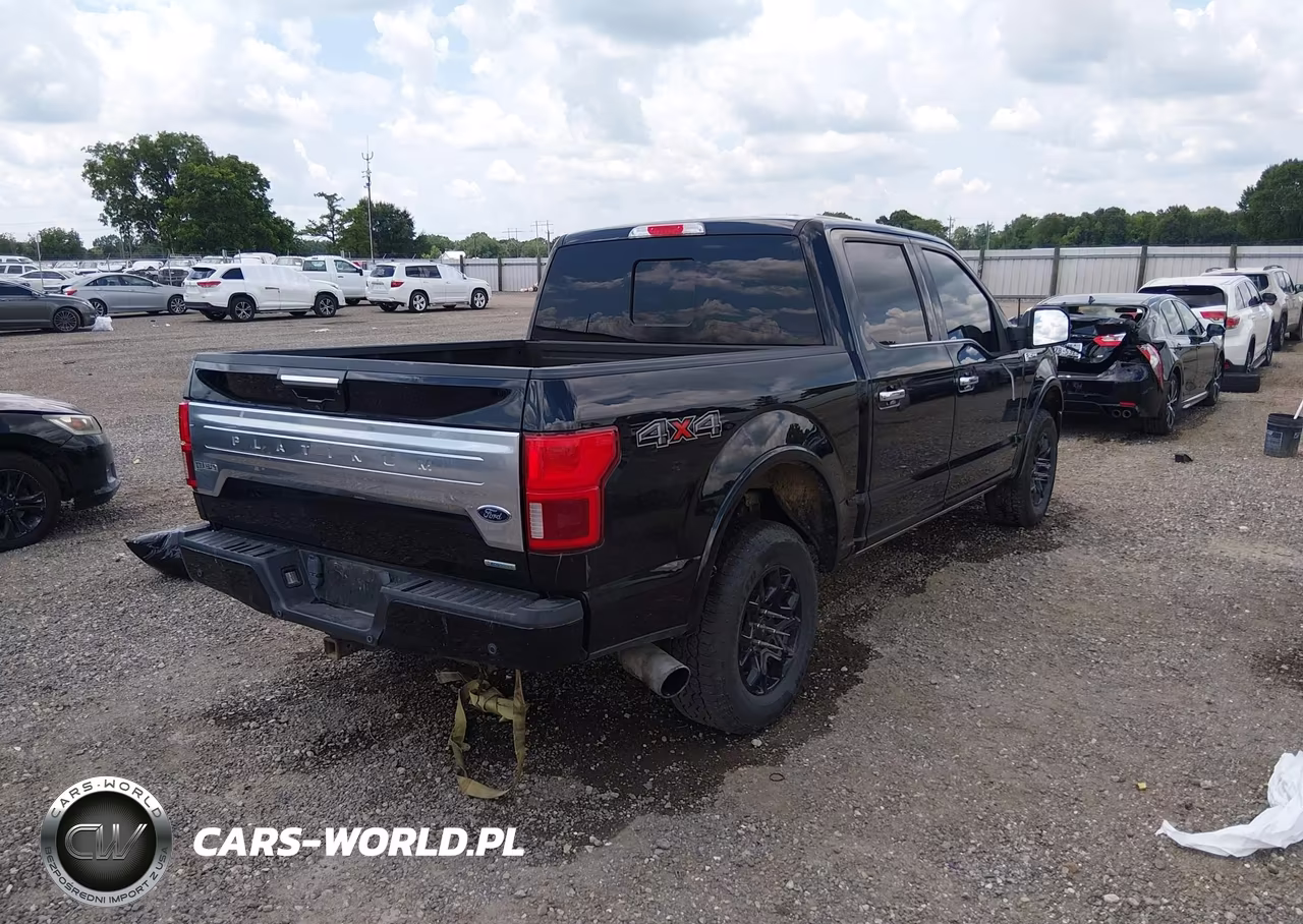 2020 Ford F-150 Platinum VIN:1FTEW1E49LFA97593 - 4