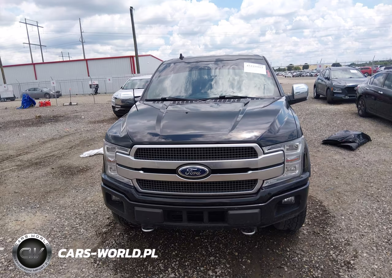 2020 Ford F-150 Platinum VIN:1FTEW1E49LFA97593 - 6