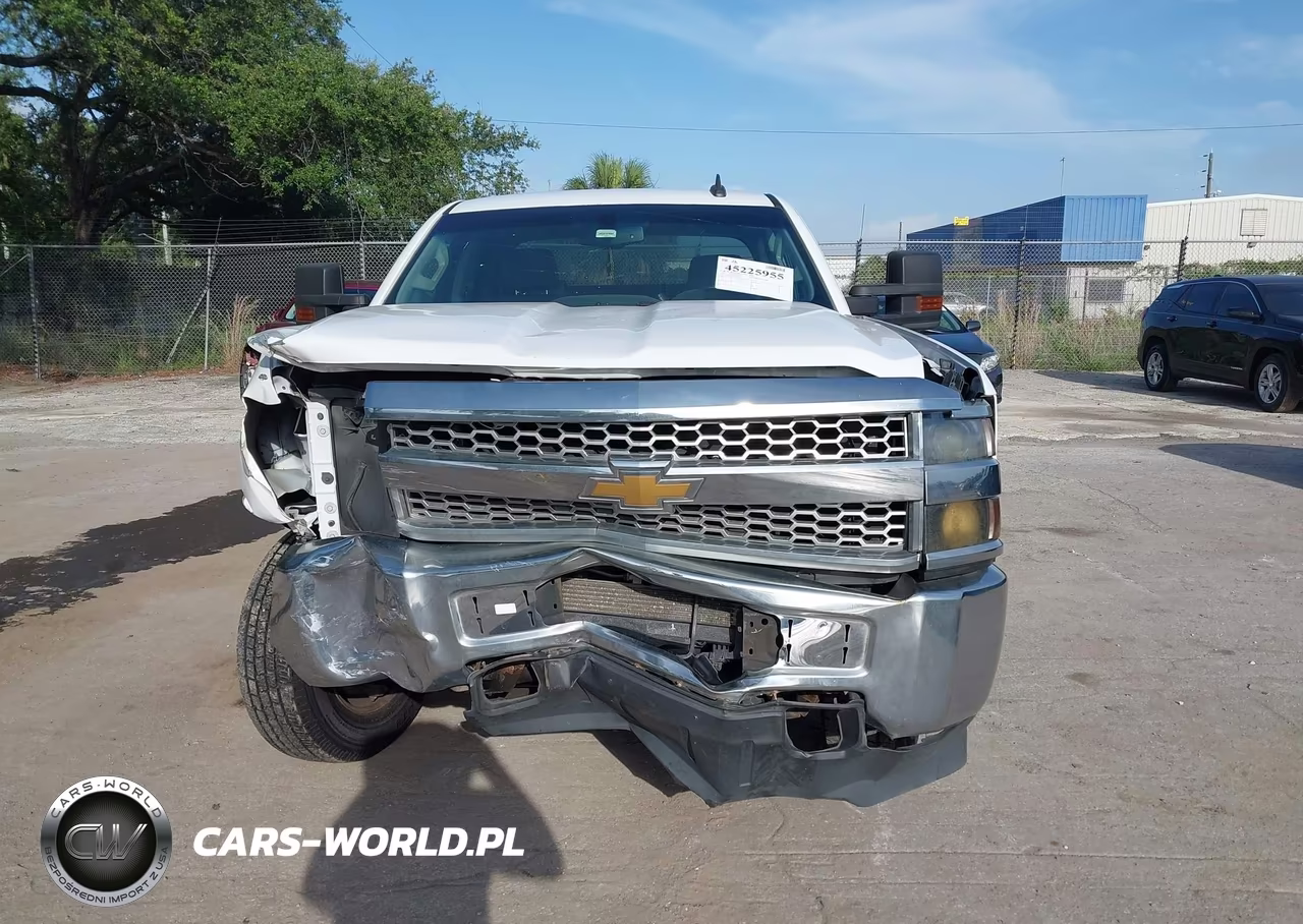 2019 Chevrolet Silverado 2500Hd Wt VIN:2GB2CREG3K1216785 - 12