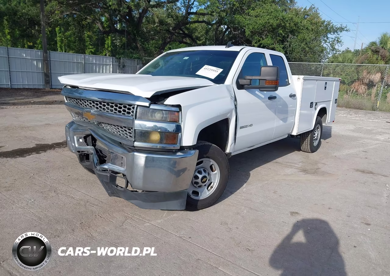 2019 Chevrolet Silverado 2500Hd Wt VIN:2GB2CREG3K1216785 - 2