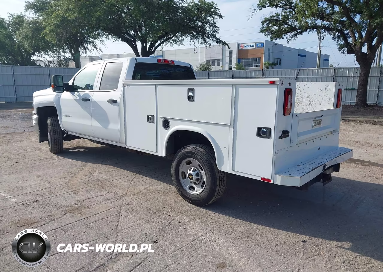 2019 Chevrolet Silverado 2500Hd Wt VIN:2GB2CREG3K1216785 - 3