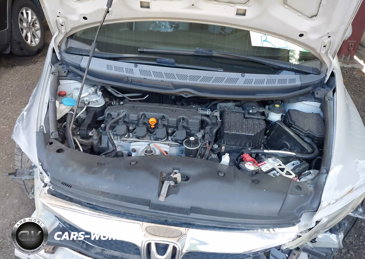2010 Honda Civic Lx VIN:2HGFA1F51AH319101 - 10