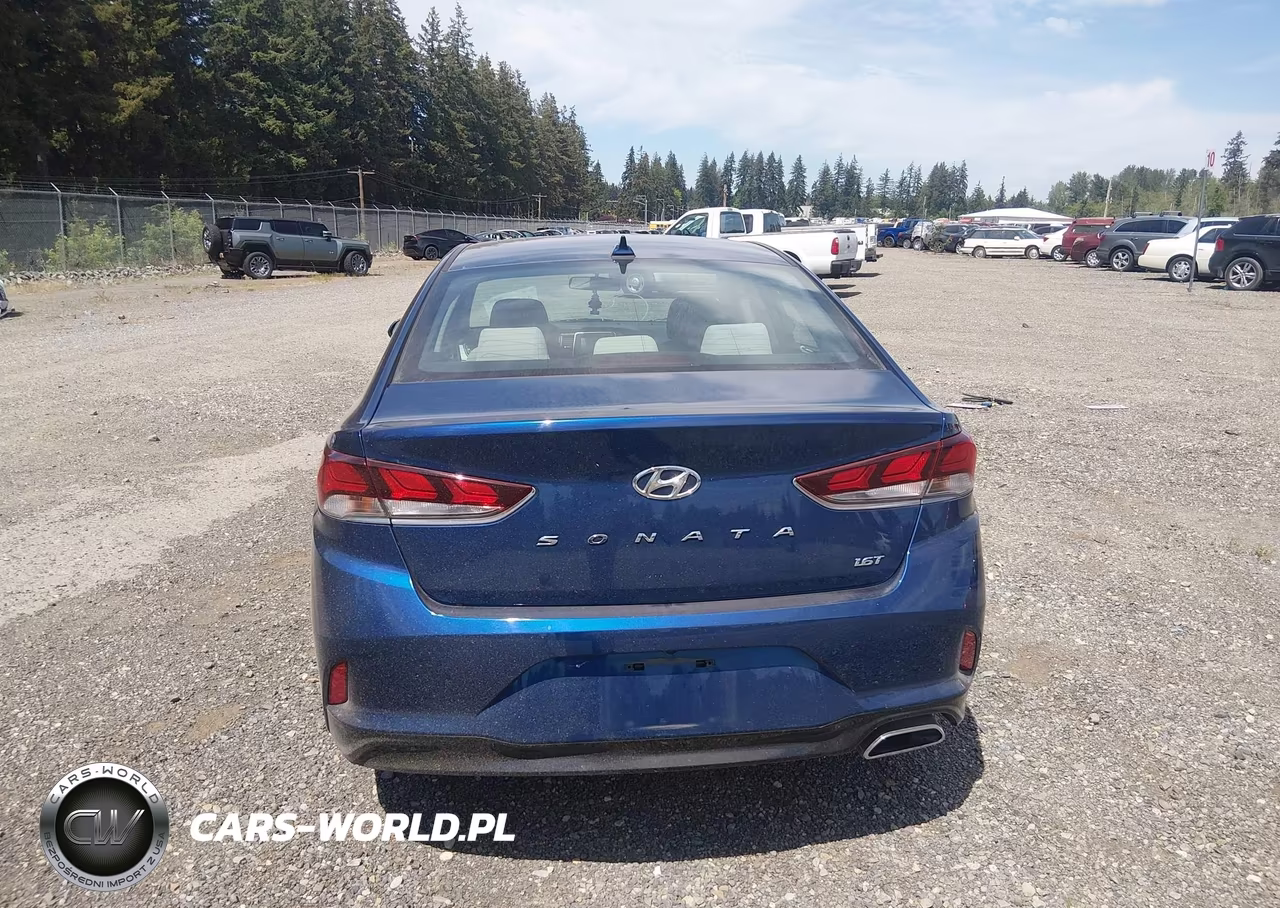 2018 Hyundai Sonata Eco VIN:5NPE24AA4JH710568 - 16