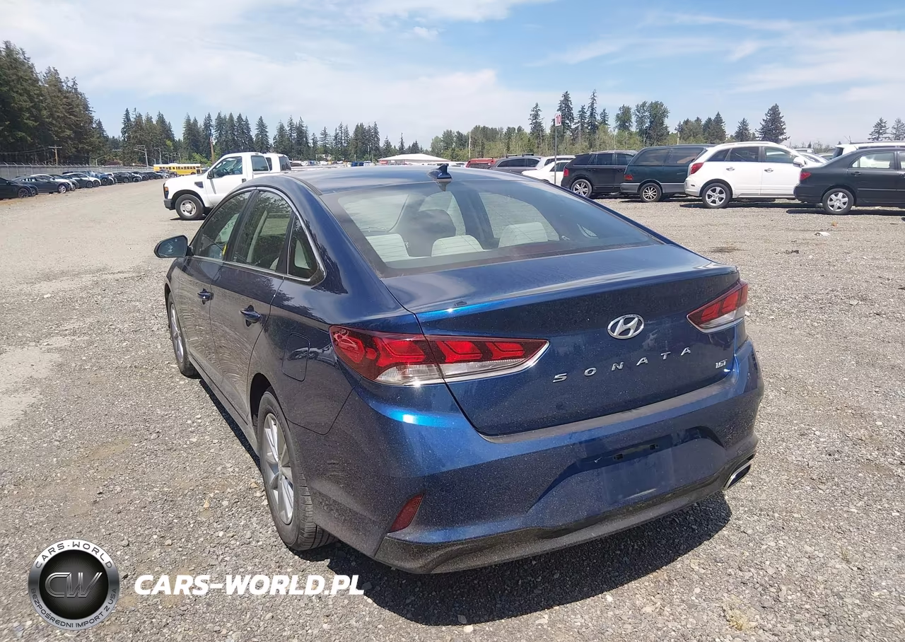 2018 Hyundai Sonata Eco VIN:5NPE24AA4JH710568 - 3