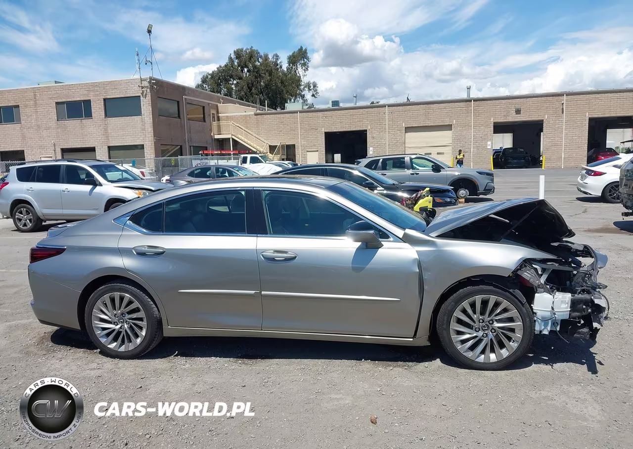 2020 Lexus Es 350 Luxury VIN:58AEZ1B13LU054451 - 13