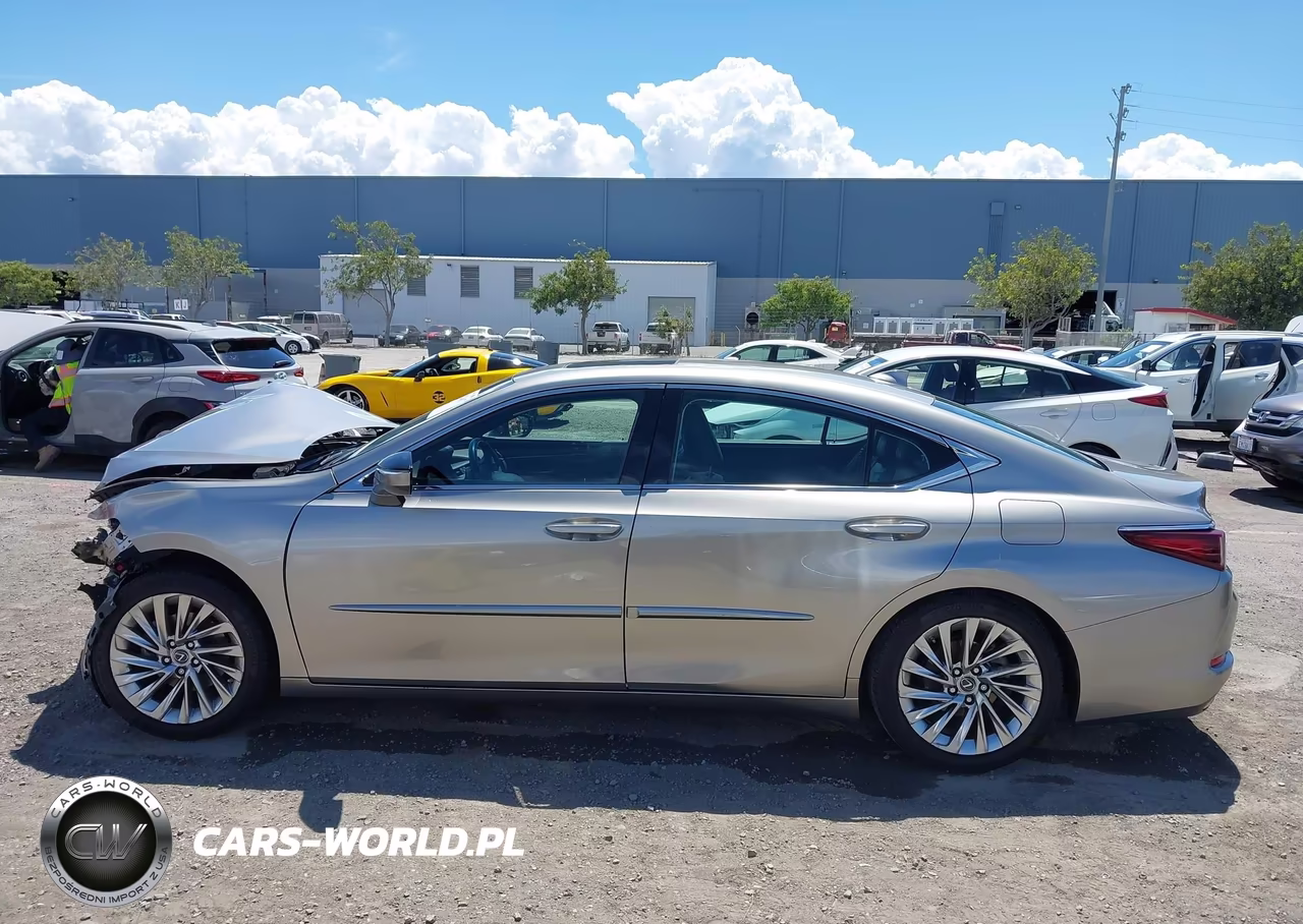 2020 Lexus Es 350 Luxury VIN:58AEZ1B13LU054451 - 14