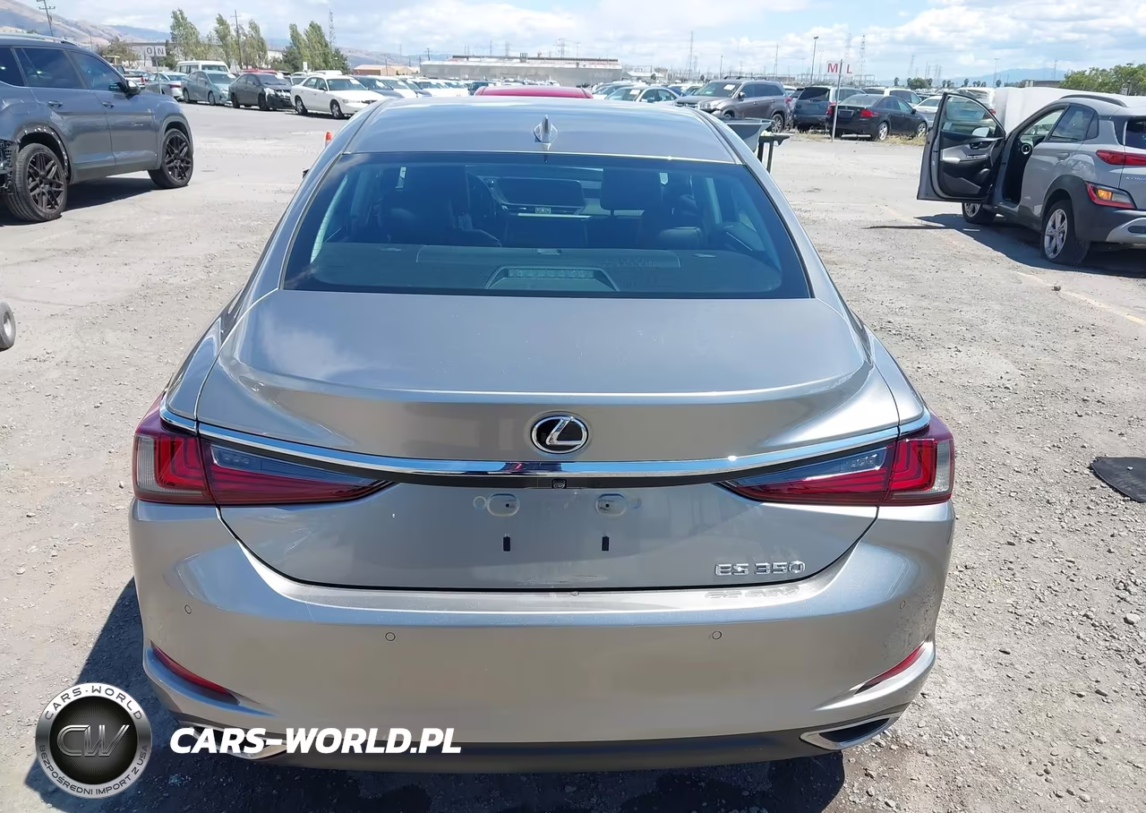 2020 Lexus Es 350 Luxury VIN:58AEZ1B13LU054451 - 16