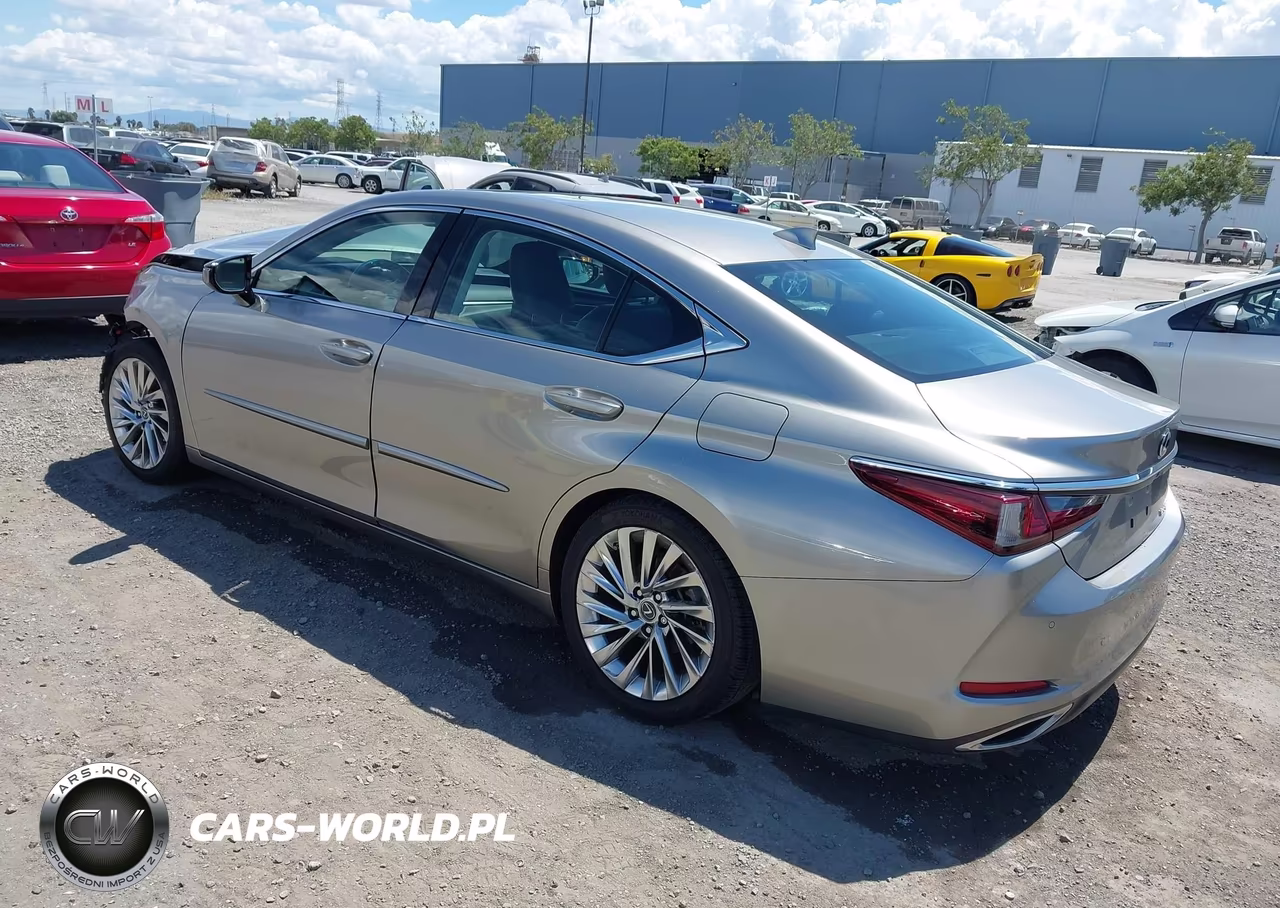 2020 Lexus Es 350 Luxury VIN:58AEZ1B13LU054451 - 3