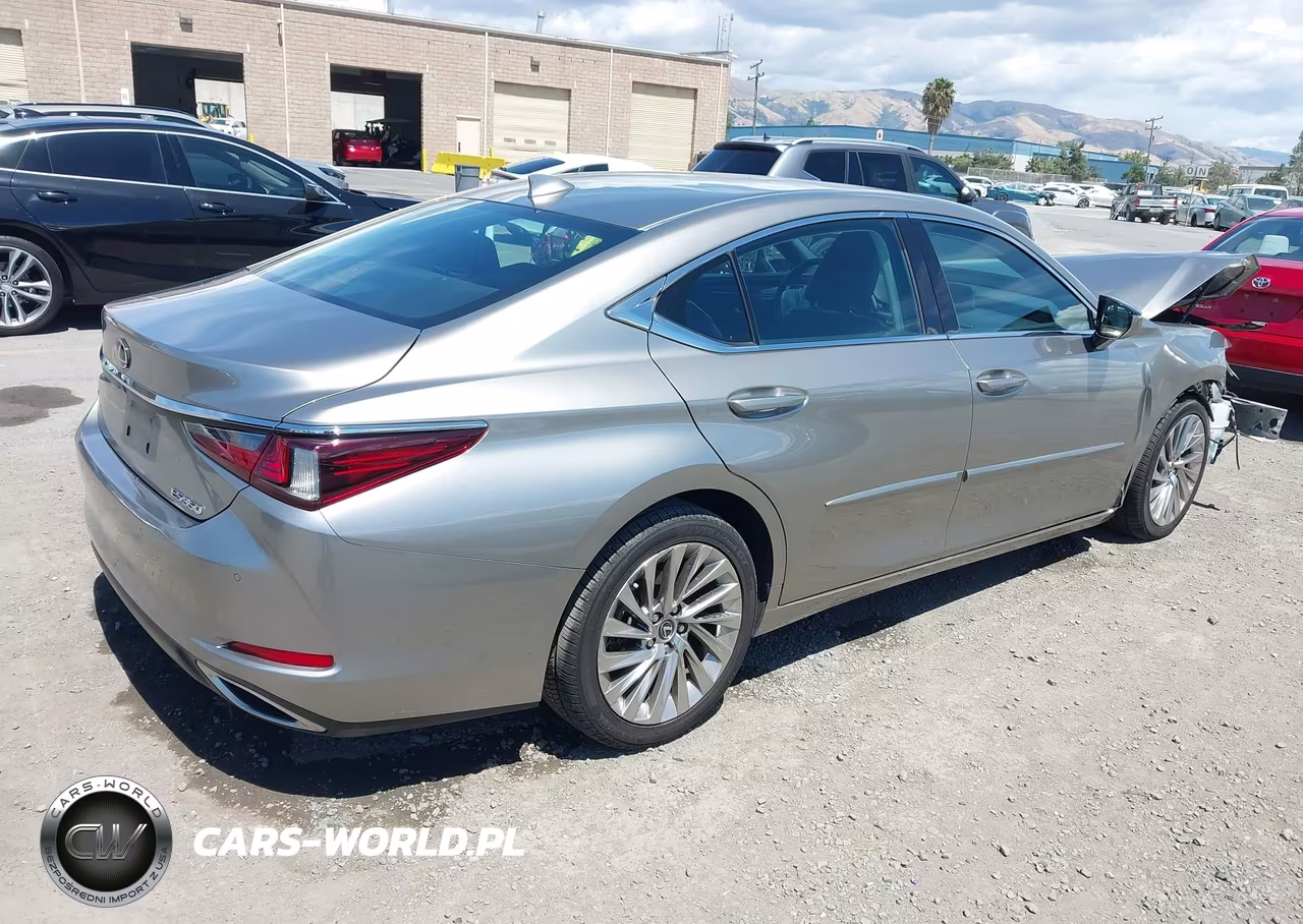 2020 Lexus Es 350 Luxury VIN:58AEZ1B13LU054451 - 4