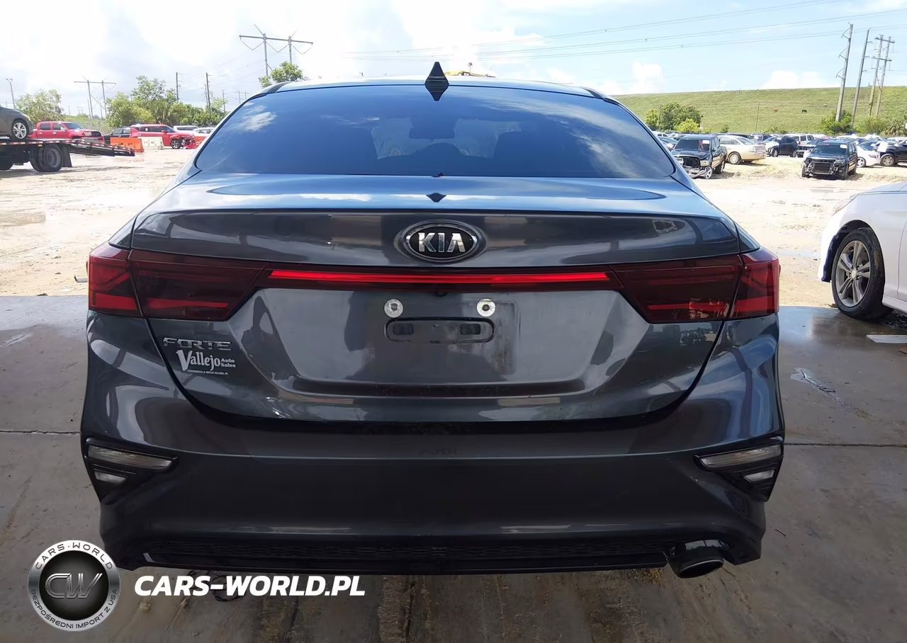 2019 Kia Forte Lxs VIN:3KPF24AD9KE059927 - 17