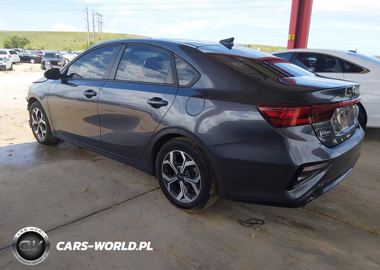 2019 Kia Forte Lxs VIN:3KPF24AD9KE059927 - 3