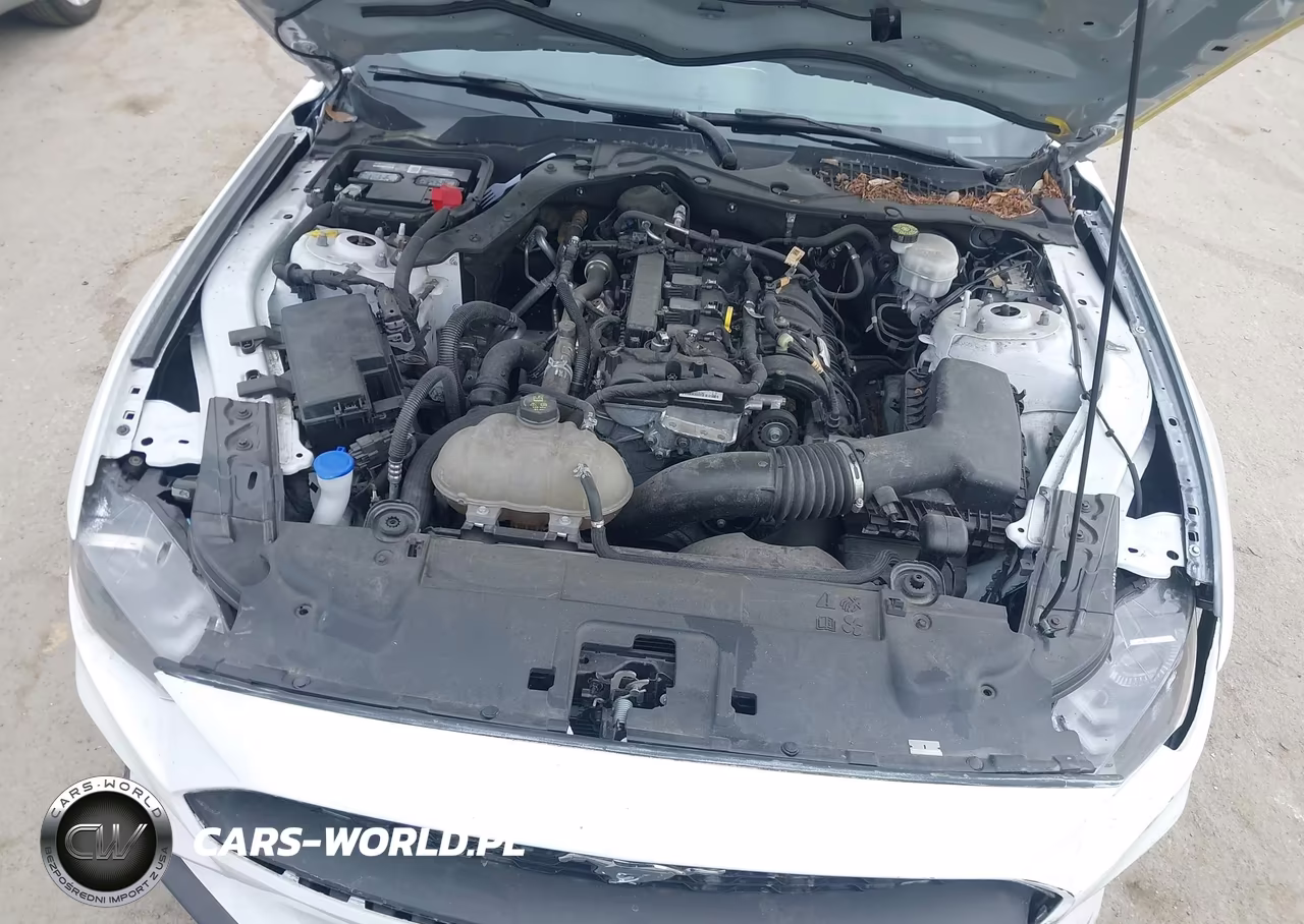 2023 Ford Mustang Ecoboost Premium Fastback VIN:1FA6P8TH8P5109539 - 10