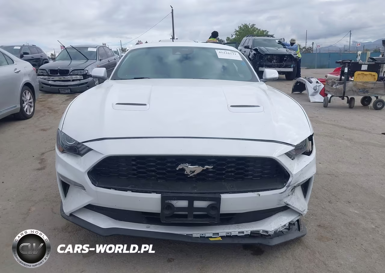 2023 Ford Mustang Ecoboost Premium Fastback VIN:1FA6P8TH8P5109539 - 12