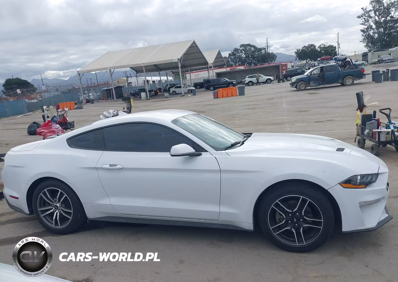 2023 Ford Mustang Ecoboost Premium Fastback VIN:1FA6P8TH8P5109539 - 13