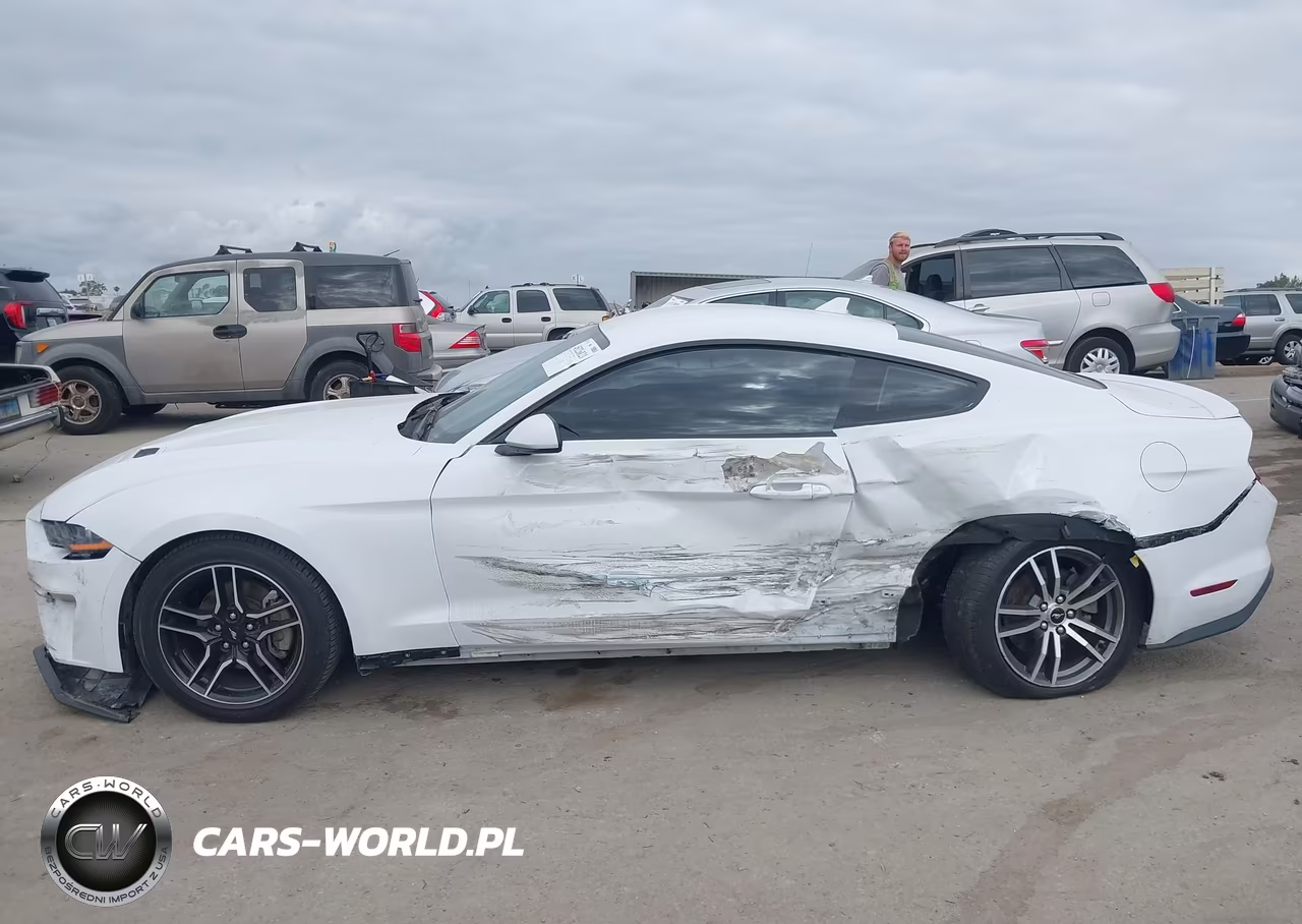 2023 Ford Mustang Ecoboost Premium Fastback VIN:1FA6P8TH8P5109539 - 14