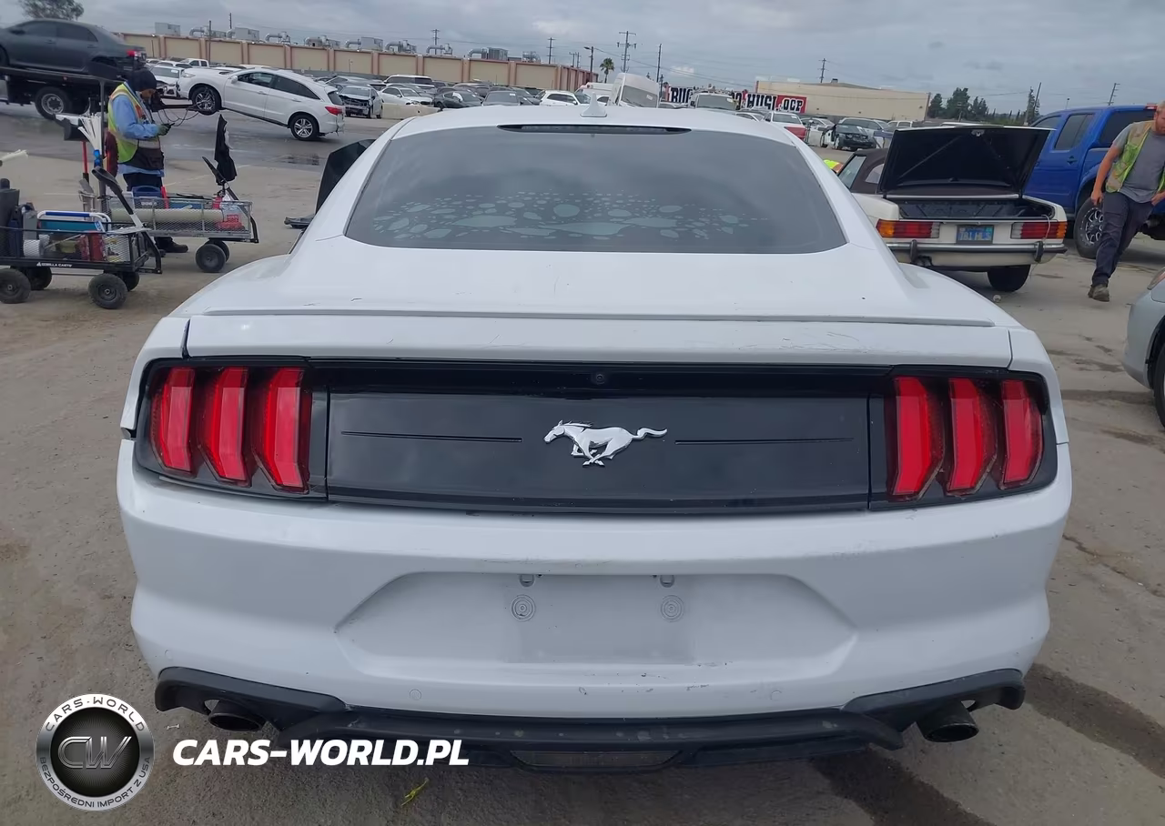 2023 Ford Mustang Ecoboost Premium Fastback VIN:1FA6P8TH8P5109539 - 16