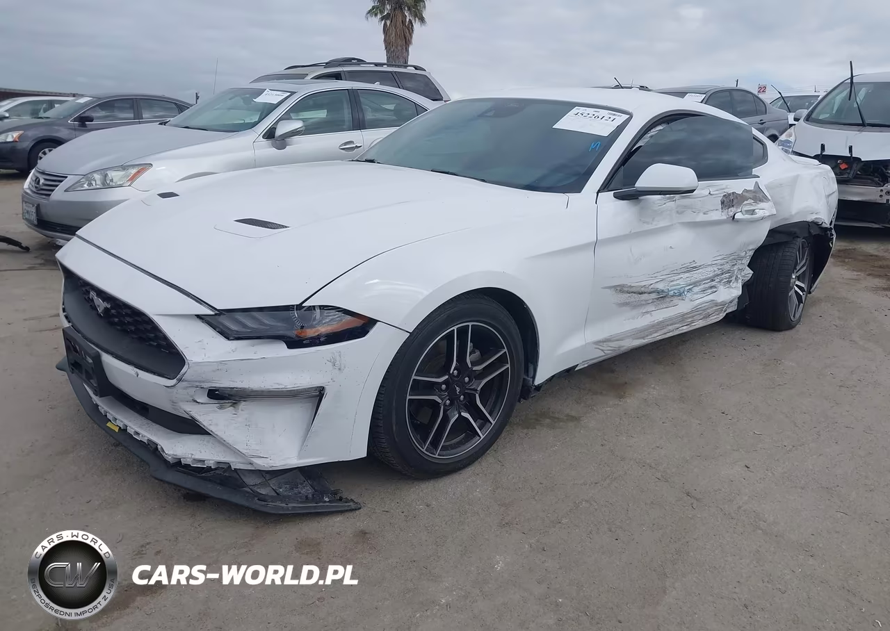 2023 Ford Mustang Ecoboost Premium Fastback VIN:1FA6P8TH8P5109539 - 2