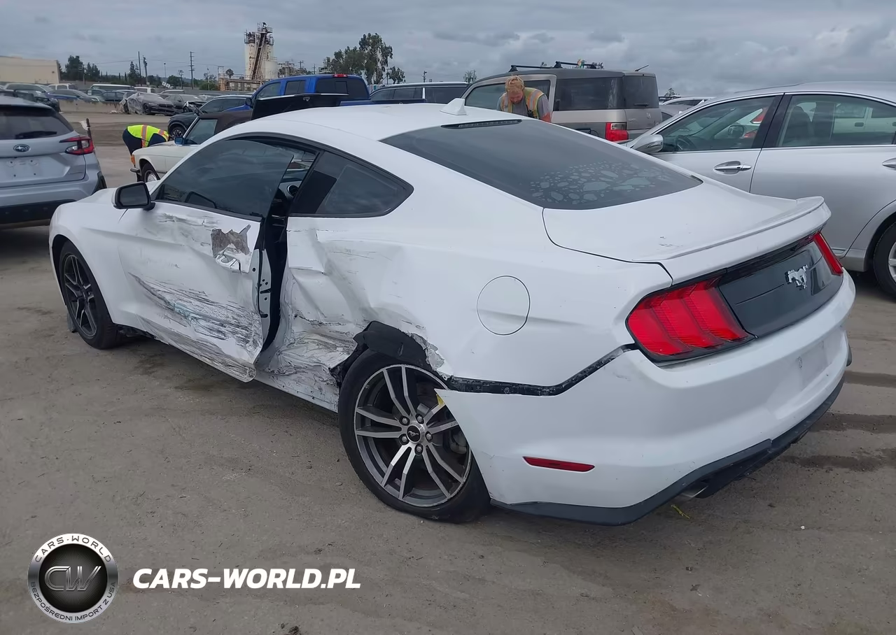 2023 Ford Mustang Ecoboost Premium Fastback VIN:1FA6P8TH8P5109539 - 3