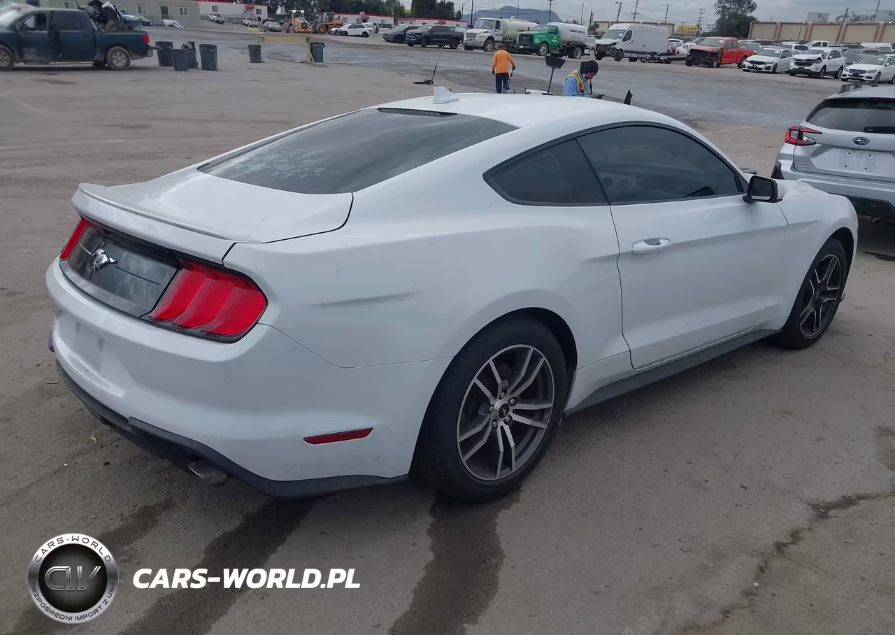 2023 Ford Mustang Ecoboost Premium Fastback VIN:1FA6P8TH8P5109539 - 4