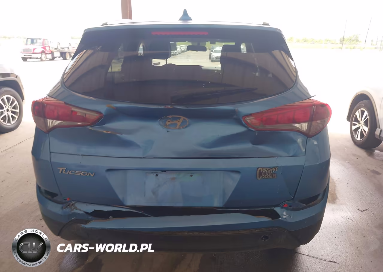 2018 Hyundai Tucson Sel VIN:KM8J33A44JU689822 - 6
