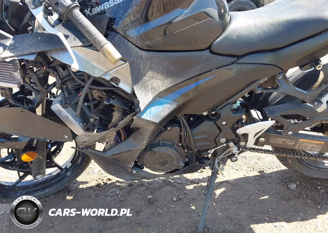 2025 Kawasaki Ex500 A-B VIN:ML5EXGJ19SDA72583 - 9