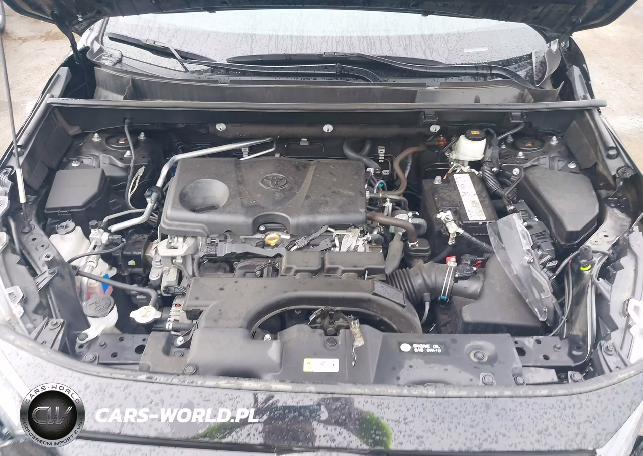 2019 Toyota Rav4 Xle VIN:2T3P1RFV5KW049096 - 10