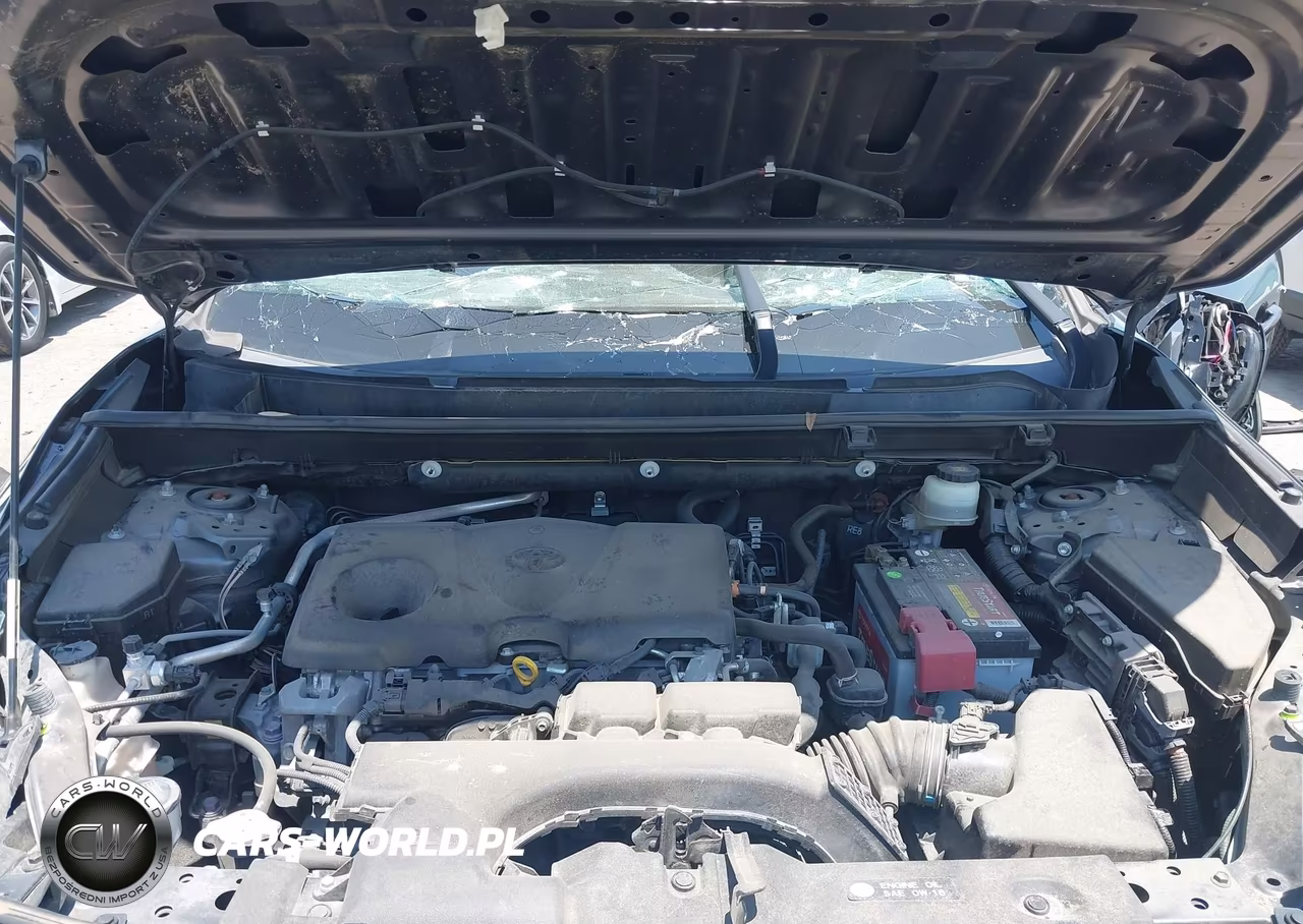 2019 Toyota Rav4 Xle VIN:JTMW1RFV1KD034085 - 10