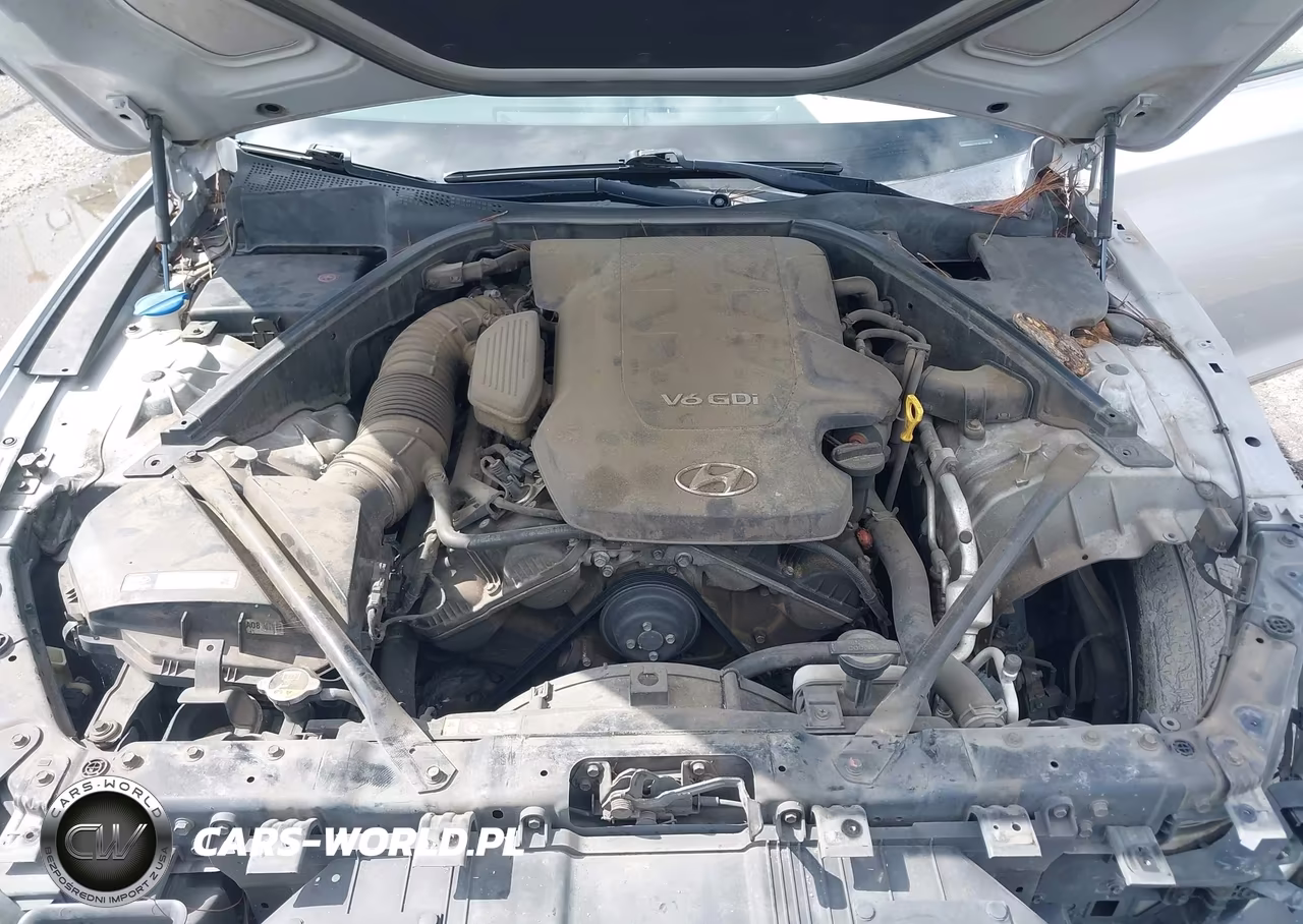 2015 Hyundai Genesis 3.8 VIN:KMHGN4JE5FU074688 - 10
