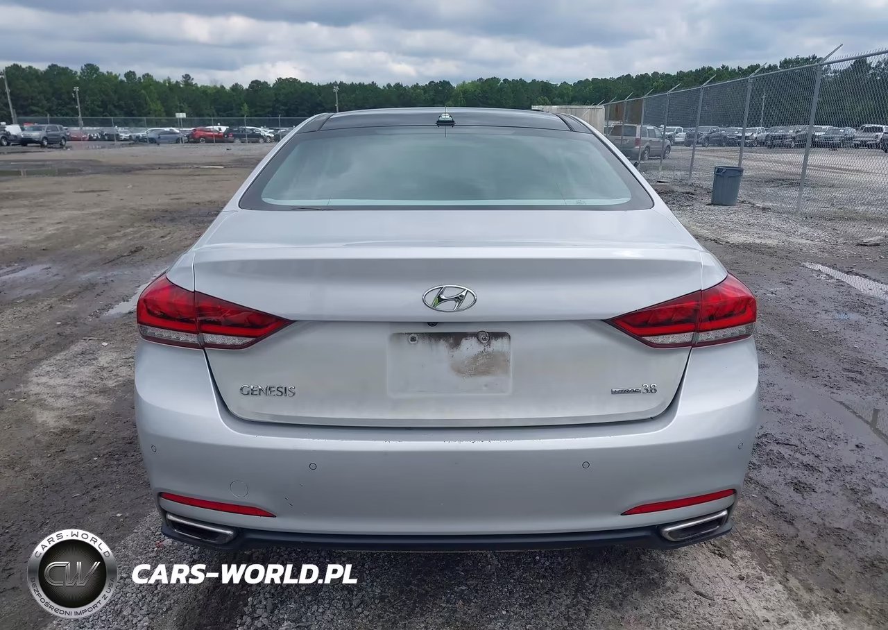 2015 Hyundai Genesis 3.8 VIN:KMHGN4JE5FU074688 - 16