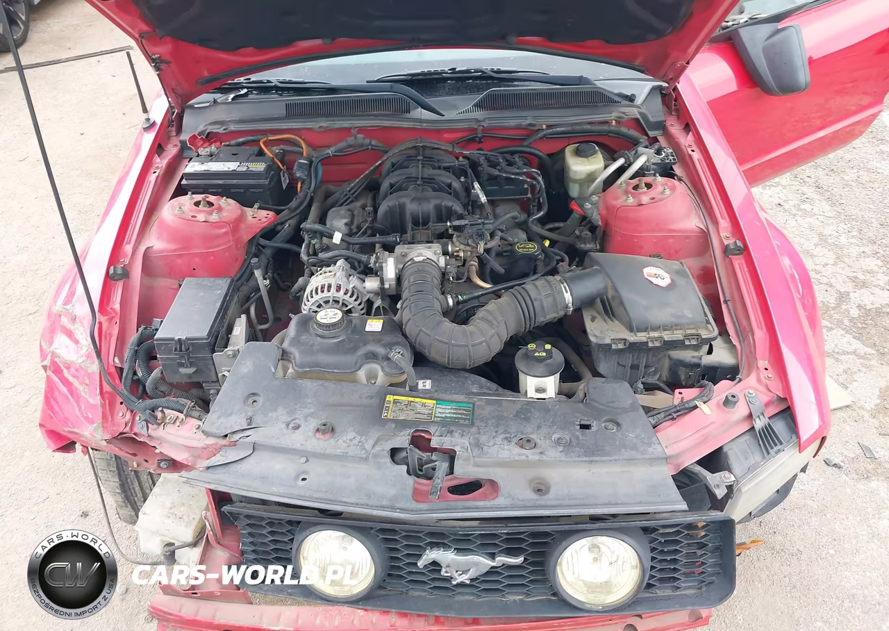 2006 Ford Mustang V6 VIN:1ZVFT80N365257142 - 10