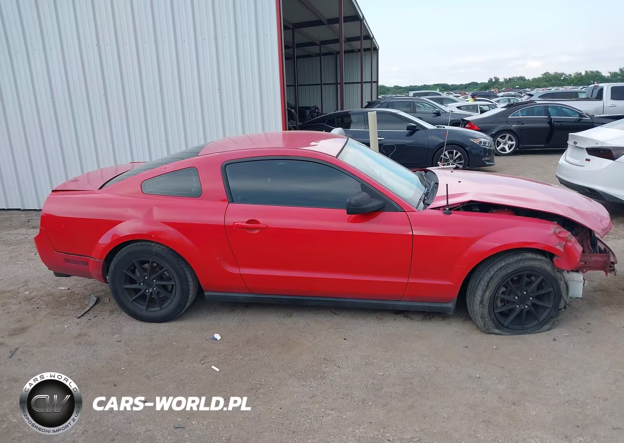 2006 Ford Mustang V6 VIN:1ZVFT80N365257142 - 14