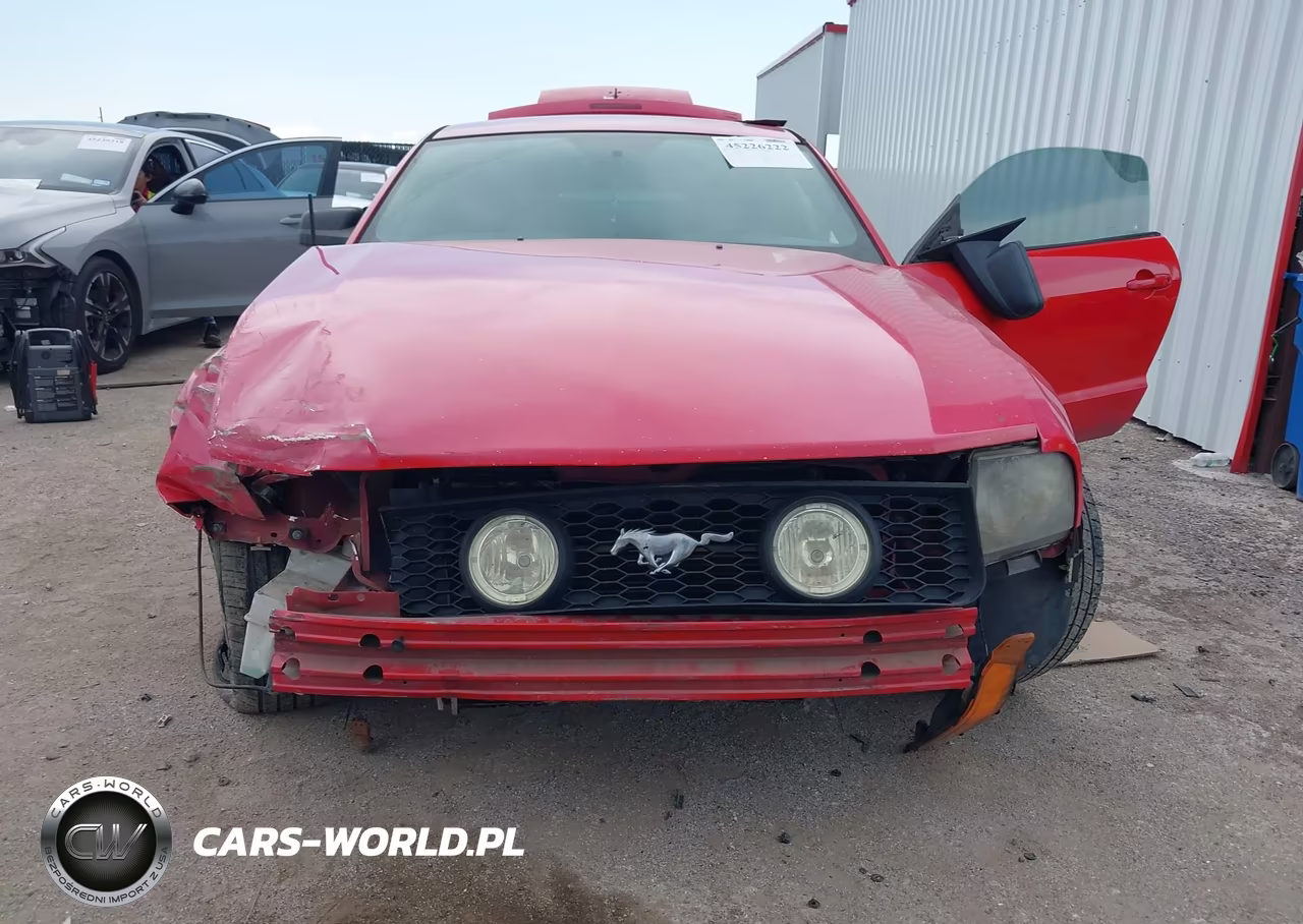 2006 Ford Mustang V6 VIN:1ZVFT80N365257142 - 6