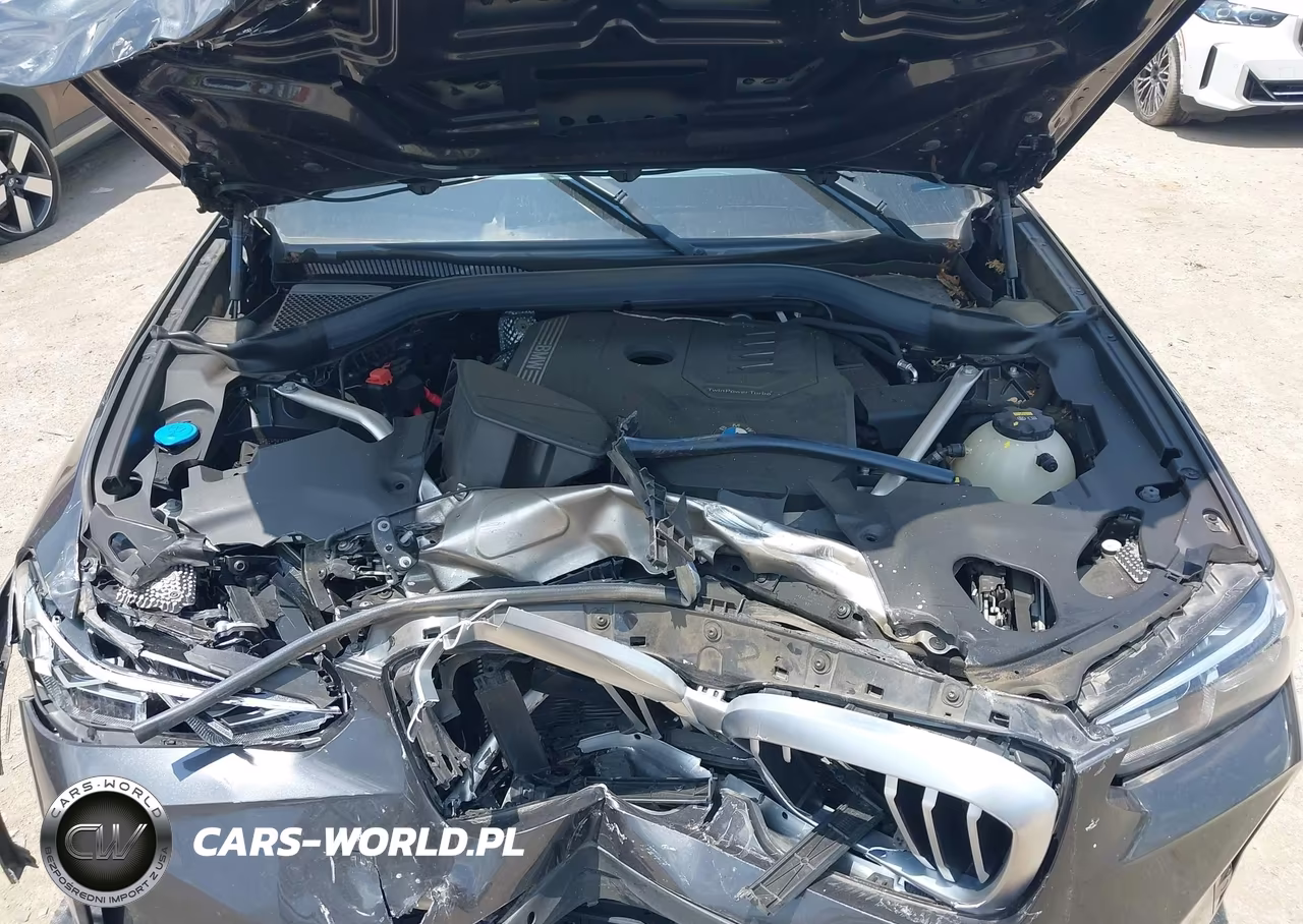 2023 BMW X3 Sdrive30I VIN:5UX43DP05P9P35910 - 10