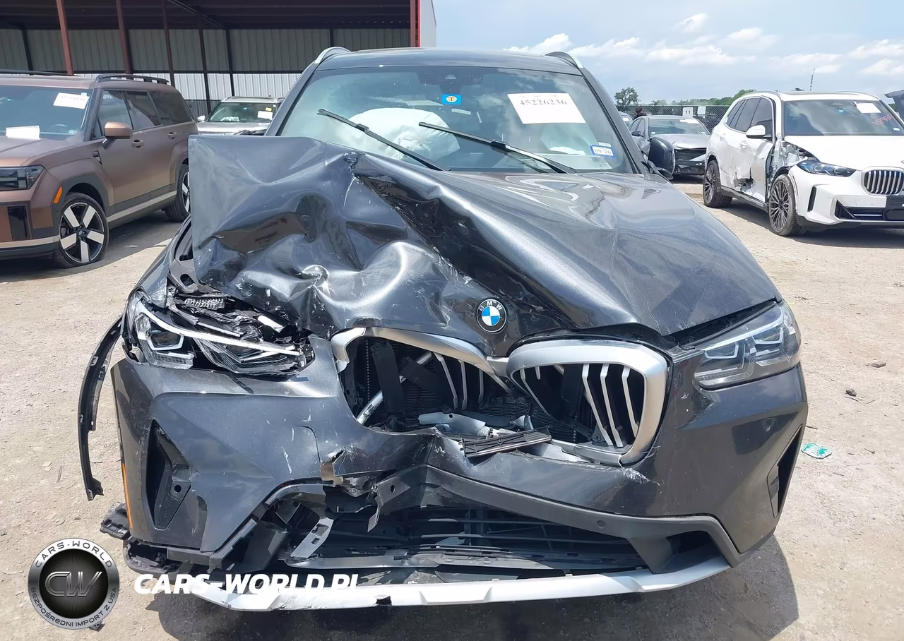 2023 BMW X3 Sdrive30I VIN:5UX43DP05P9P35910 - 12