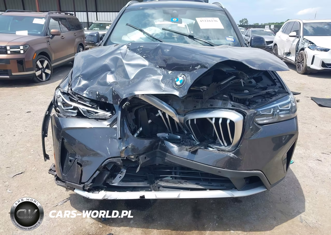2023 BMW X3 Sdrive30I VIN:5UX43DP05P9P35910 - 6